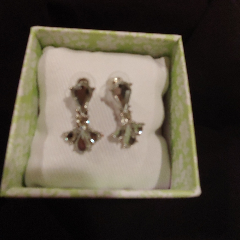Gorgeous earrings